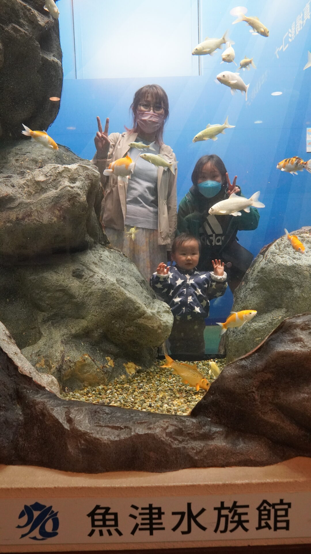 魚津水族館
