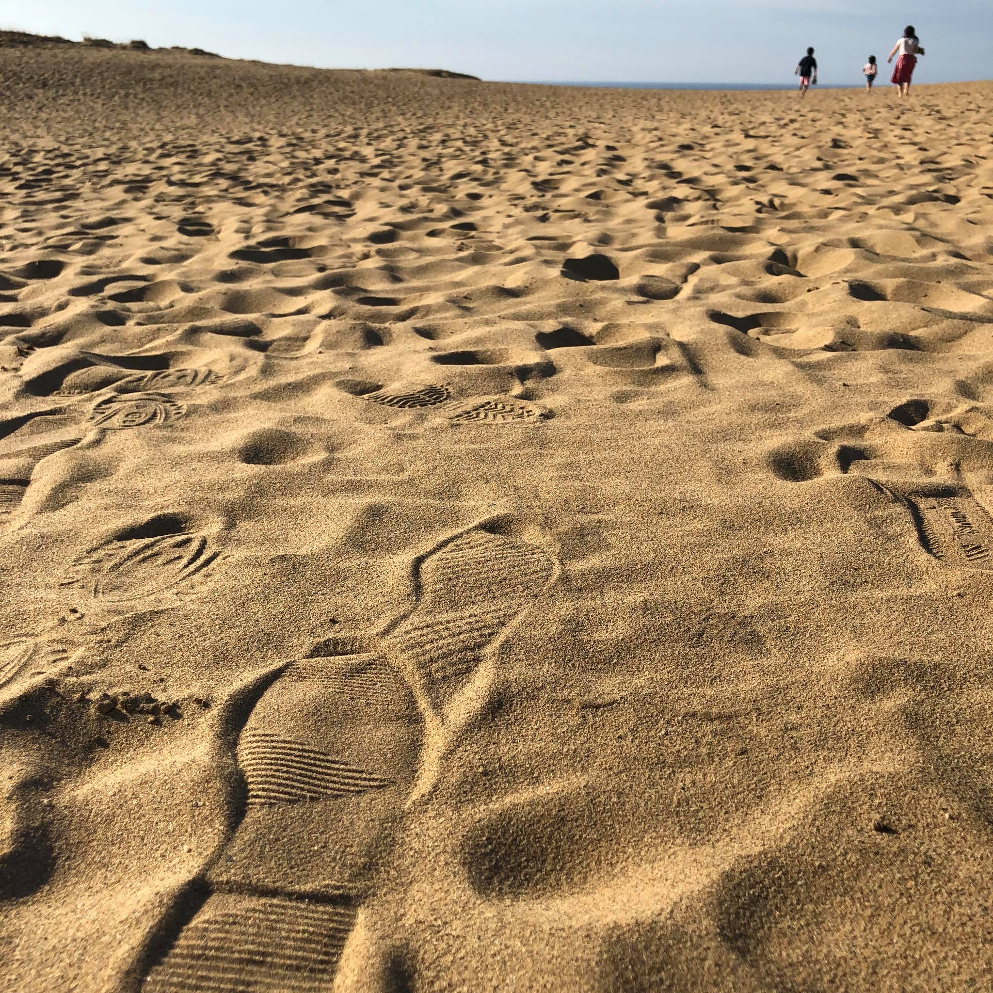 鳥取砂丘