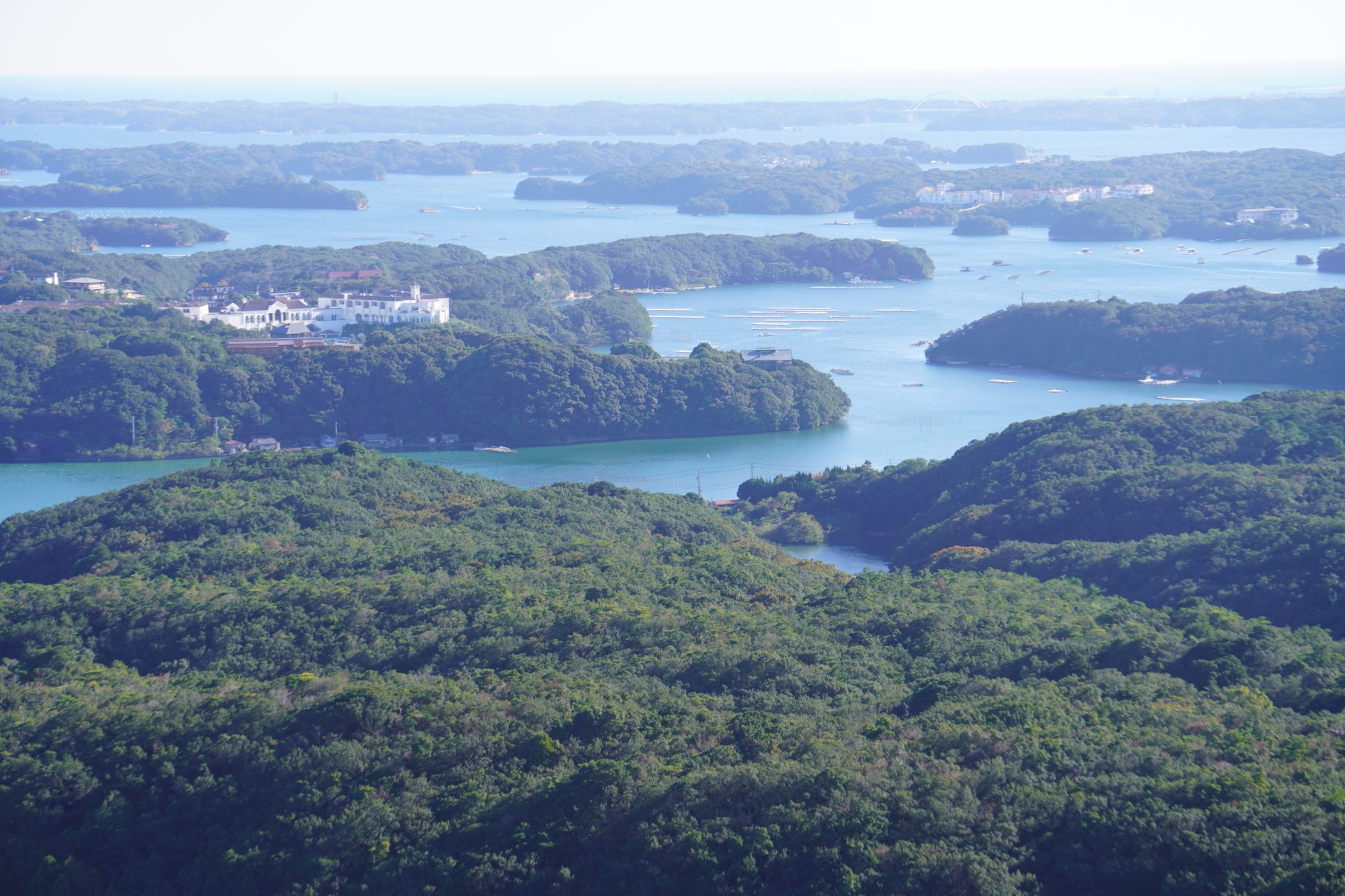 全国の小学校・中学校で芸術鑑賞会