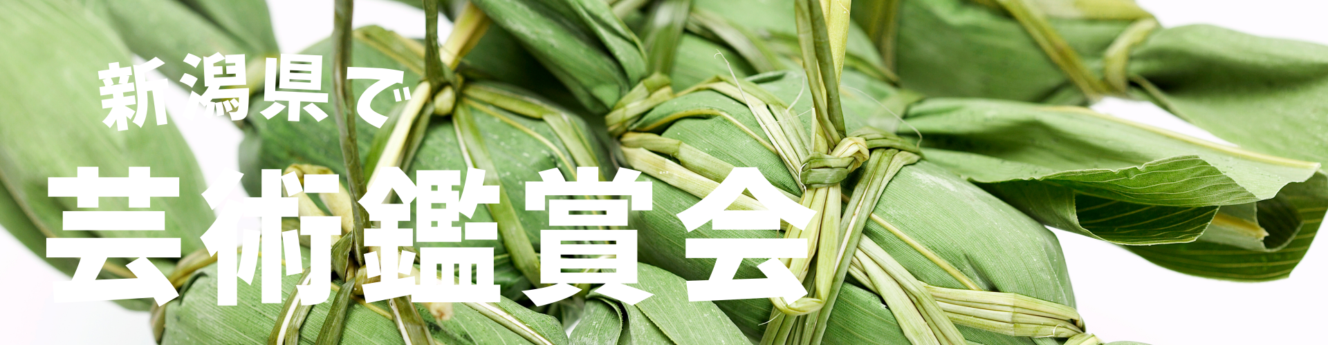 新潟県で芸術鑑賞会