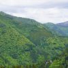 岐阜県高山市の保育園